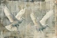 Peace doves ephemera border backgrounds newspaper animal.