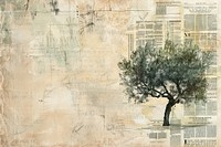 Olive tree ephemera border backgrounds newspaper drawing.