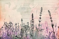 Summer meadow dancing ephemera border backgrounds lavender drawing.
