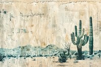Cactus desert ephemera border backgrounds drawing plant.