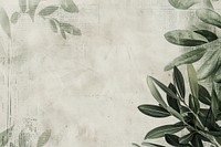 Olive branch ephemera border backgrounds texture plant.
