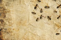 Bees flying ephemera border backgrounds insect animal.