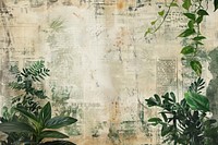 House plants ephemera border backgrounds texture paper.