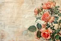 Roses ephemera border backgrounds painting pattern.