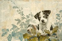 Cute puppies ephemera border animal mammal puppy.