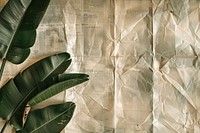 Banana leaves ephemera border backgrounds paper plant.
