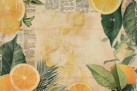 Summer tropical lemonade ephemera border backgrounds grapefruit plant.