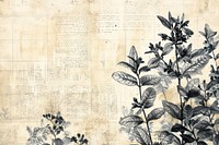 Old newspaper ephemera border herbs backgrounds drawing.