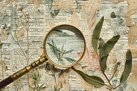 Magnifying glass ephemera border backgrounds paper herb.