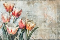 Tulips ephemera border backgrounds painting flower.