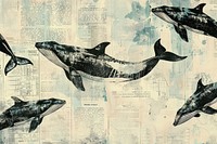 Whales jumping ephemera border backgrounds dolphin animal.