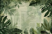 Tropical jungle ephemera border backgrounds tropics collage.