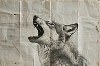 Wolf howling ephemera border drawing animal mammal.