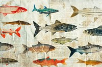 Deep ocean fish ephemera border backgrounds seafood animal.