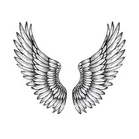 Surreal aesthetic angel wings logo art illustrated accessories.