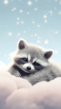 Baby raccoon dreamy wallpaper wildlife animal canine.