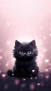 Black kitten dreamy wallpaper animal mammal cat.