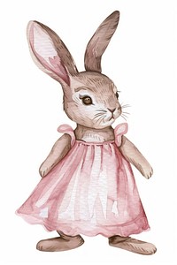 Baby girl rabbit wearing a pink dress person animal mammal.