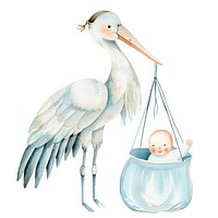 Stork with Baby baby waterfowl animal.