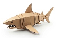 Shark cardboard shark transportation.