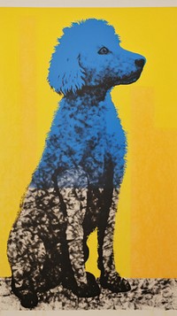 Poodle dog painting animal canine.