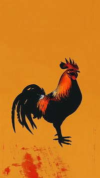 Rooster chicken poultry animal.