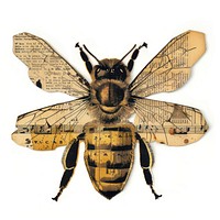 Bee shape collage cutouts invertebrate bumblebee appliance.