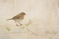 Bird vintage illustration painting sparrow animal.