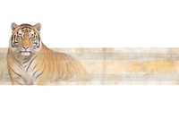 Tiger vintage illustration wildlife animal mammal.