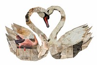 Swan shape collage cutouts anseriformes waterfowl animal.