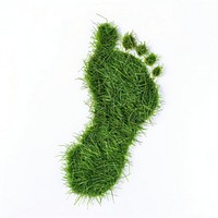Foot step shape grass footprint plant moss.