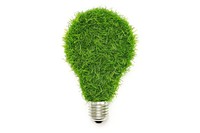 Lightbulb shape lawn plant moss.