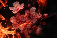 Photo of cherry blossom fire chandelier pattern.