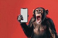 Photo of shocked chimpanzee wildlife phone face.