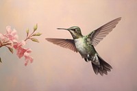 Close up on pale perfume hummingbird animal flying.