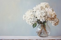 A close up on pale hydrangeas in a vase painting graphics blossom.