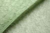 Husk fibre mulberry paper texture velvet plant.