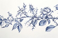 Vintage drawing rose thorns illustrated outdoors sketch.