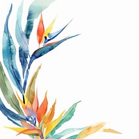 Bird of paradise border watercolor backgrounds pattern white background.
