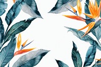 Bird of paradise frame watercolor backgrounds pattern nature.