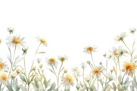 Chamomile border watercolor backgrounds pattern flower.