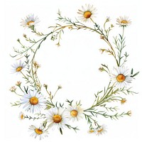 Chamomile frame watercolor pattern flower wreath.