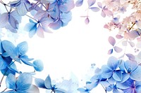 Hydrangea frame watercolor backgrounds flower nature.