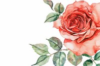 Red rose frame watercolor flower plant white background.