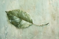 Close up on pale Leaf painting leaf backgrounds.