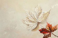 Close up on pale American maple backgrounds painting plant.