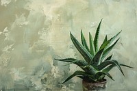 Close up on pale aloe backgrounds painting plant.