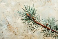 Close up on pale American pine leaf painting backgrounds plant.