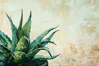 Close up on pale aloe backgrounds painting plant.