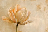 Close up on pale tulip painting flower petal.